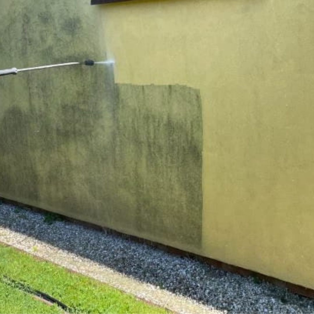 Fassadenreinigung Neu-Ulm Vorher Nachher Algen Moos entfernen