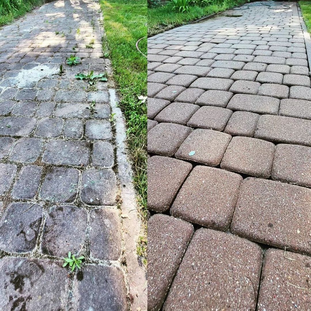 Terrassenreinigung Riedlingen Moos entfernen Alb-Donau-Kreis